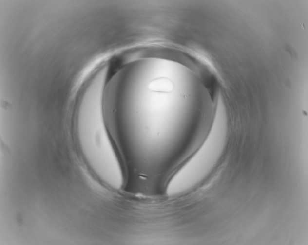 X0000090951414200708021328
