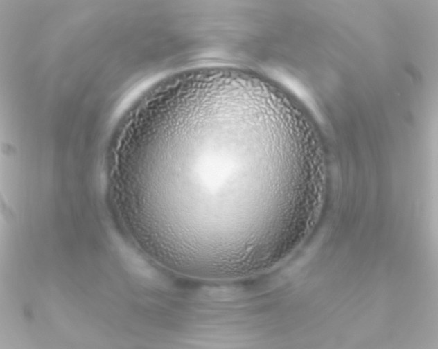 X0000090951415200708021328