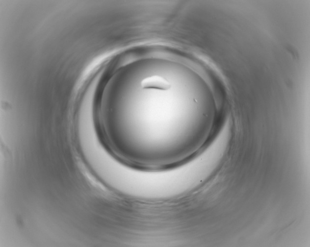 X0000090951416200708021328