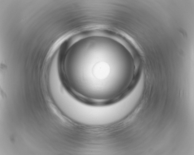 X0000090951418200708021328