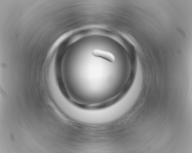 X0000090951420200708021328