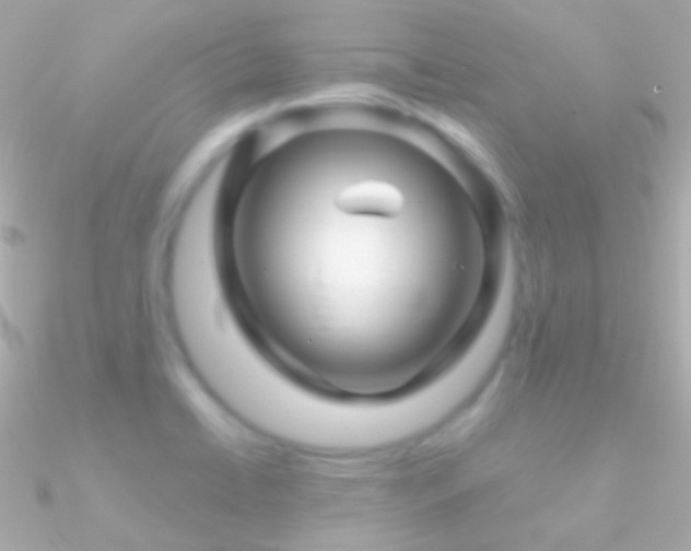 X0000090951422200708021328