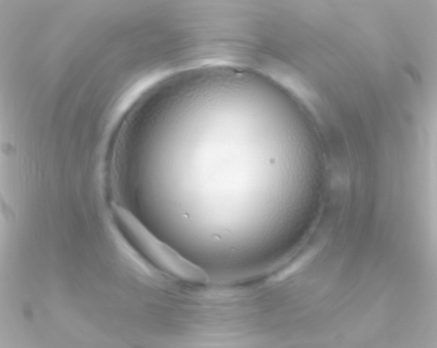 X0000090951423200708021328
