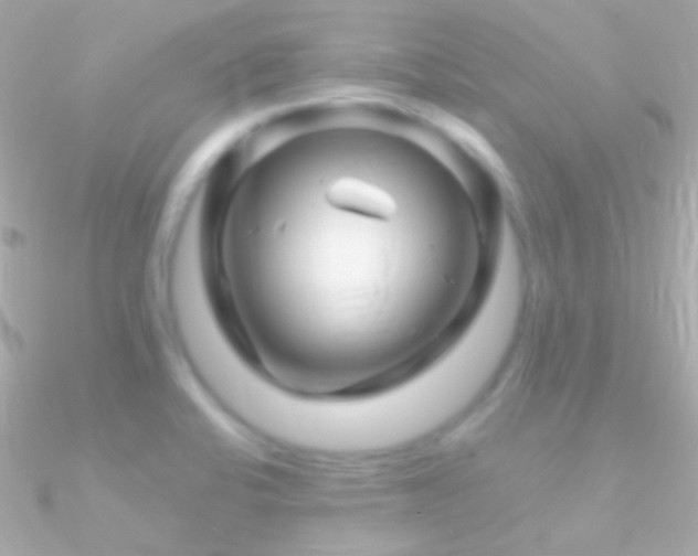 X0000090951424200708021328