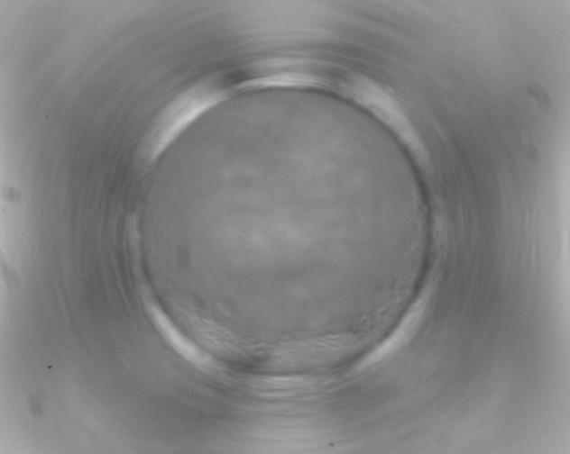 X0000090951425200708021328