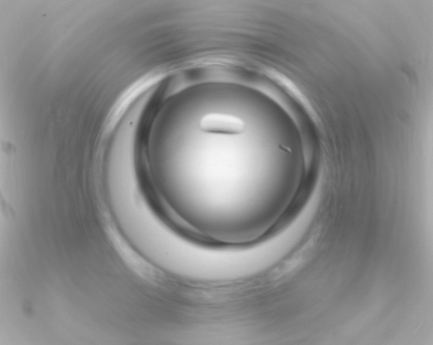 X0000090951426200708021328