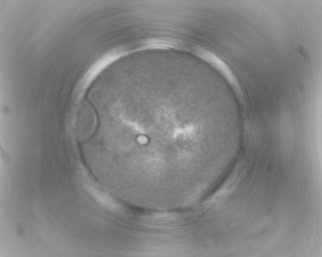 X0000090951427200708021328