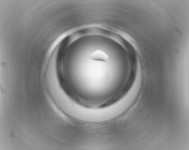 X0000090951428200708021328