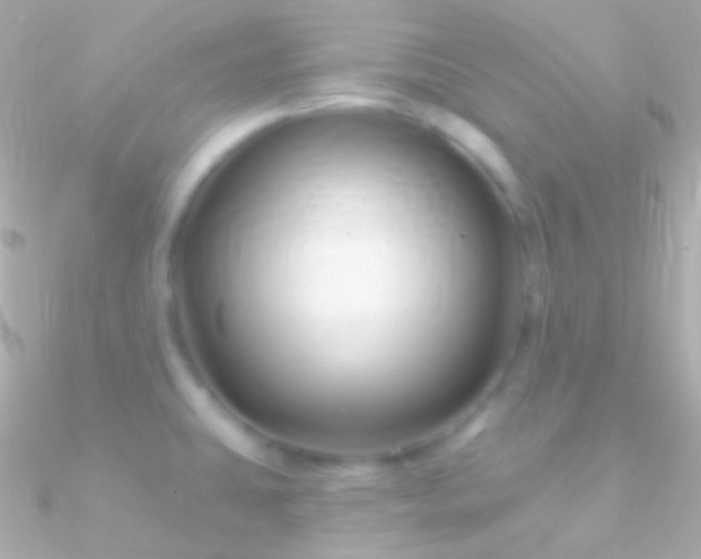 X0000090951431200708021328