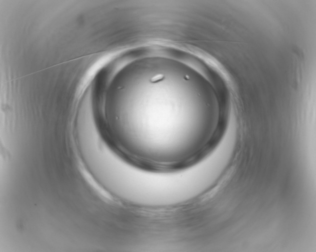 X0000090951432200708021328