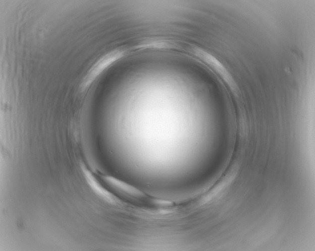 X0000090951433200708021328