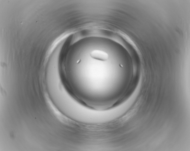 X0000090951434200708021328