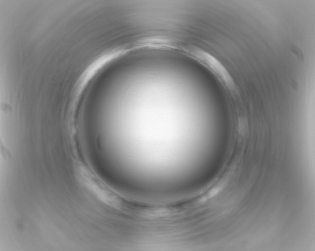 X0000090951435200708021328