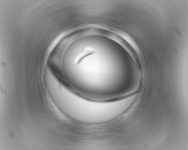 X0000090951436200708021328