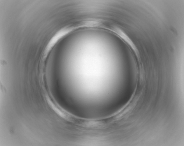 X0000090951437200708021328