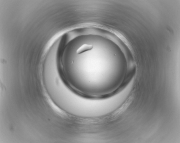X0000090951438200708021328