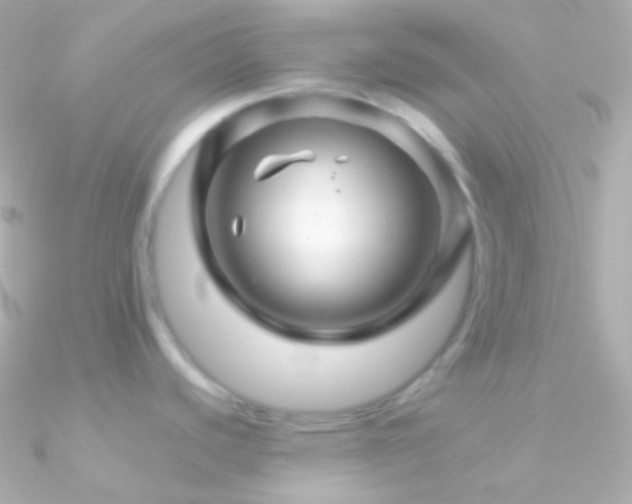 X0000090951440200708021328