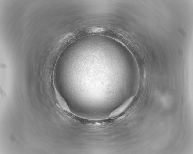 X0000090951441200708021328