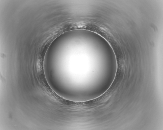 X0000090951442200708021327