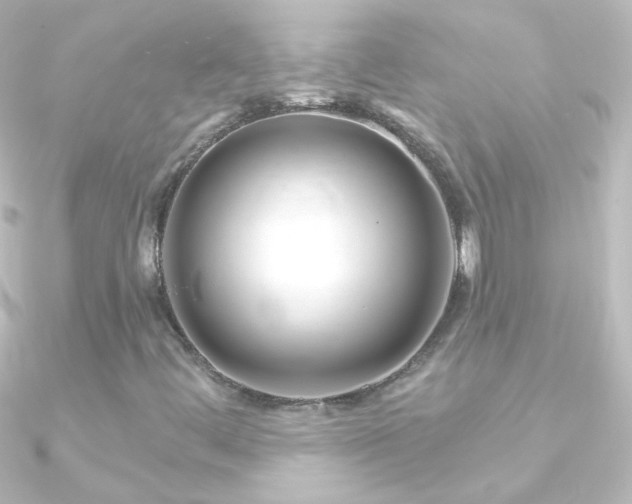 X0000090951444200708021327