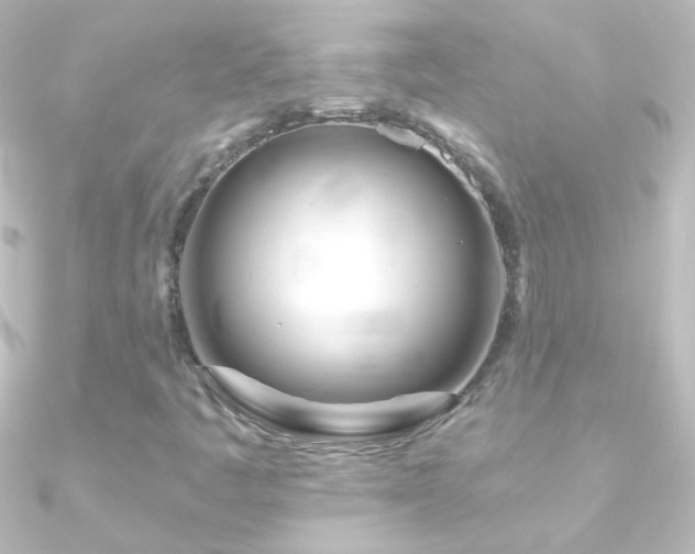 X0000090951445200708021327