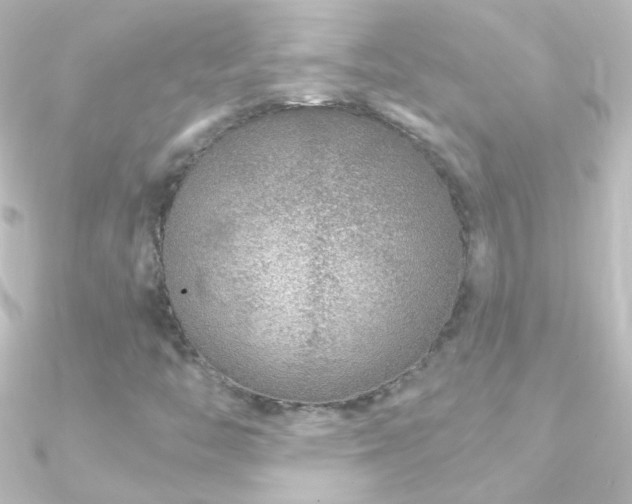 X0000090951446200708021327