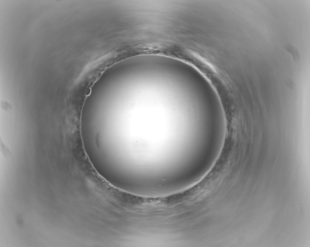 X0000090951447200708021327