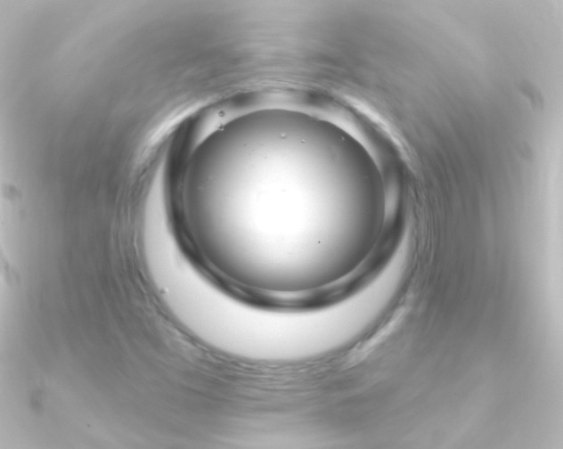 X0000090951453200708021327