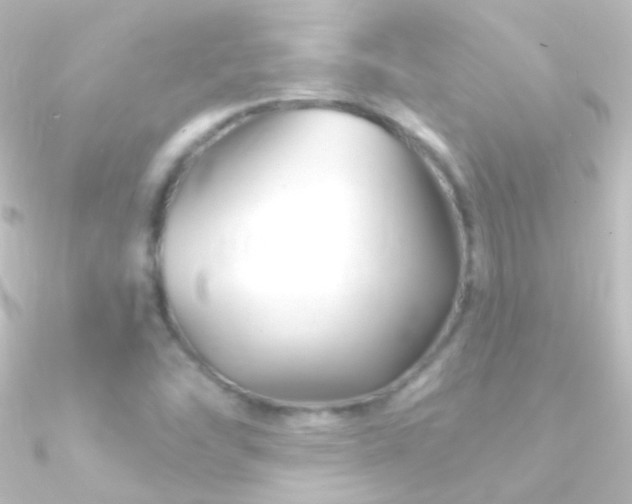 X0000090951454200708021327