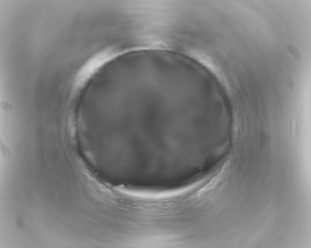 X0000090951455200708021327