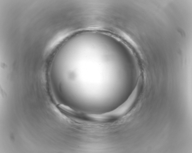 X0000090951456200708021327