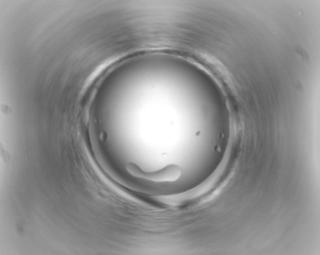X0000090951457200708021327