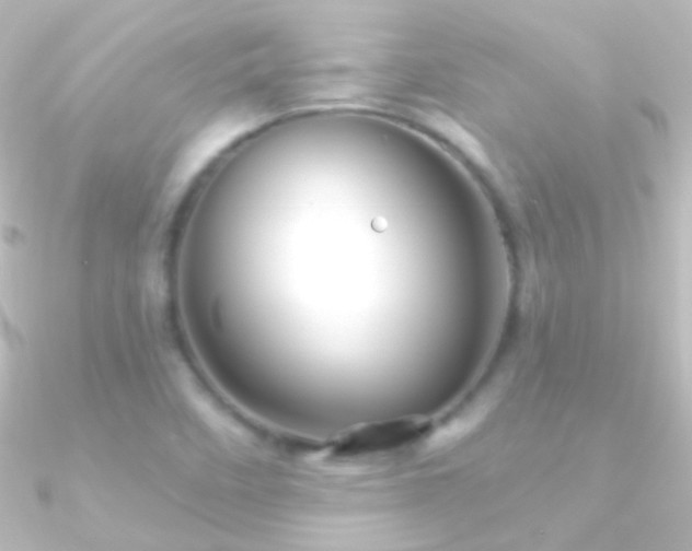 X0000090951458200708021327