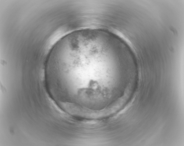 X0000090951459200708021327