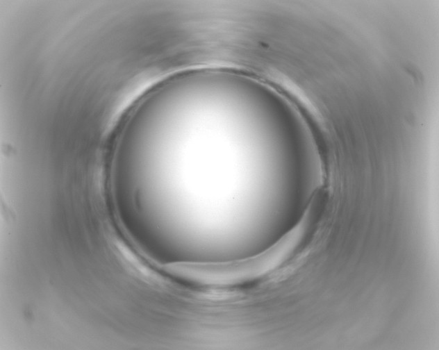 X0000090951460200708021327
