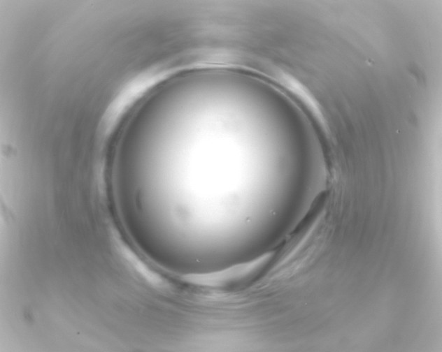X0000090951464200708021327