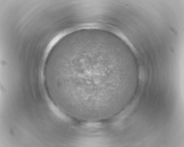 X0000090951466200708021327