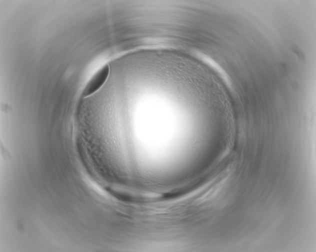 X0000090951467200708021327