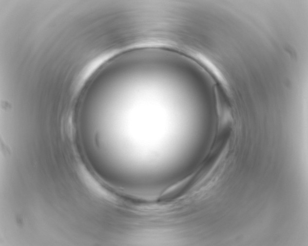 X0000090951468200708021327