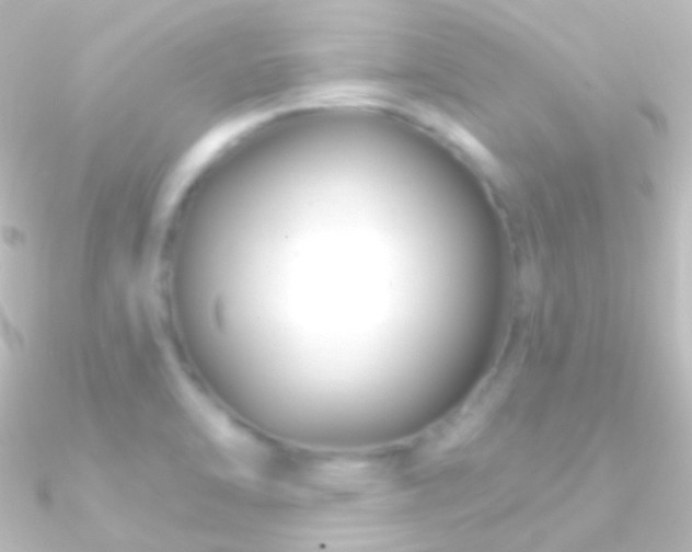 X0000090951470200708021327