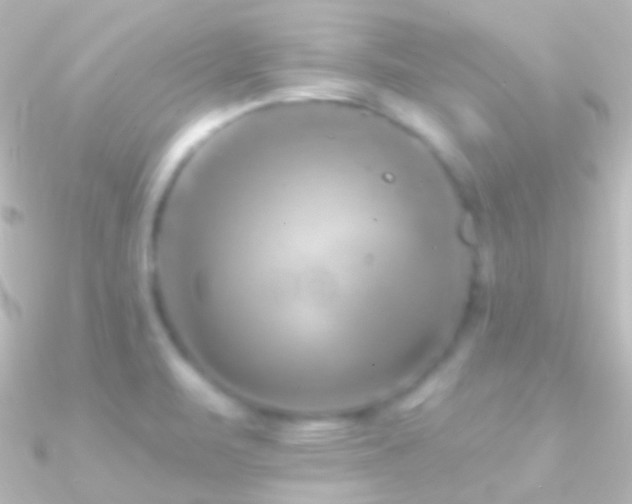 X0000090951471200708021327