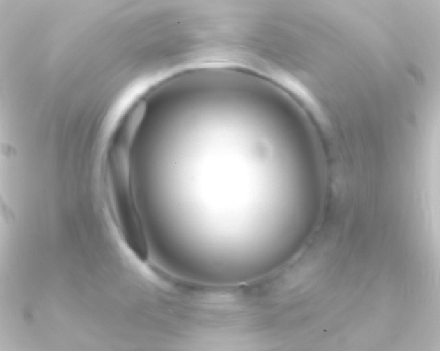 X0000090951472200708021327