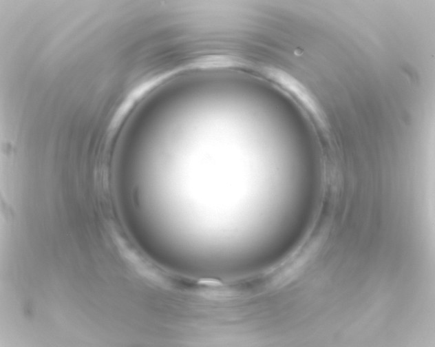 X0000090951473200708021327
