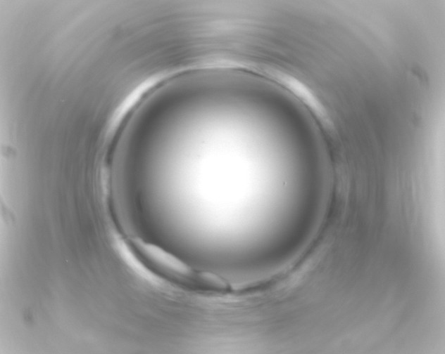 X0000090951476200708021327