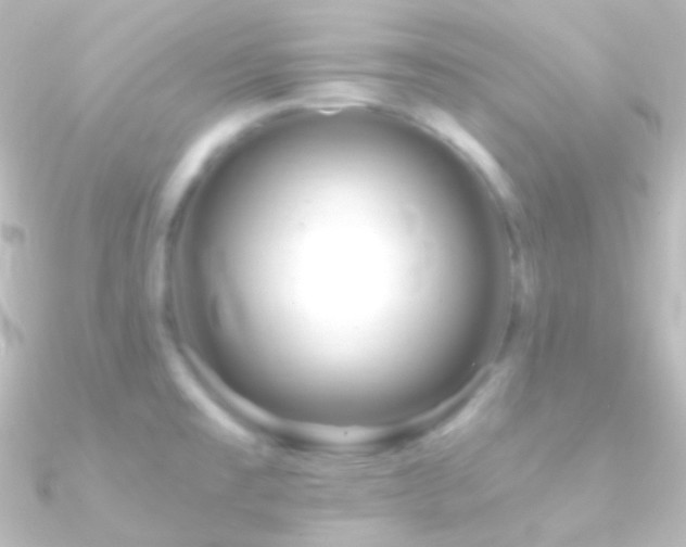 X0000090951477200708021327