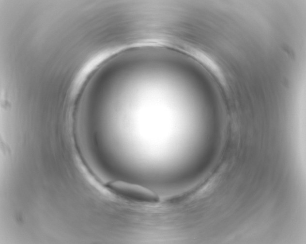 X0000090951480200708021327