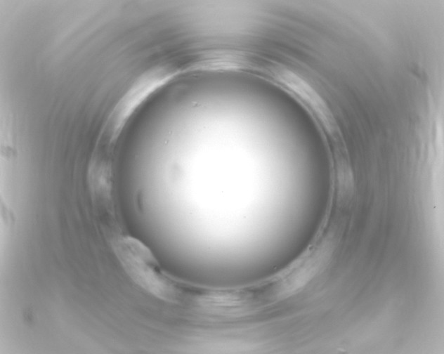 X0000090951481200708021327