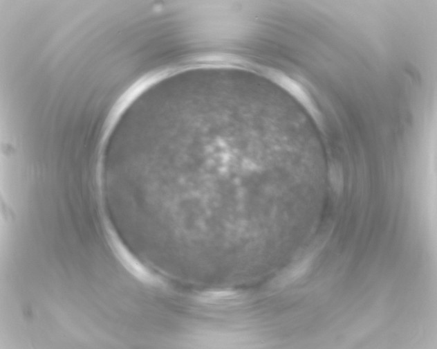 X0000090951482200708021327