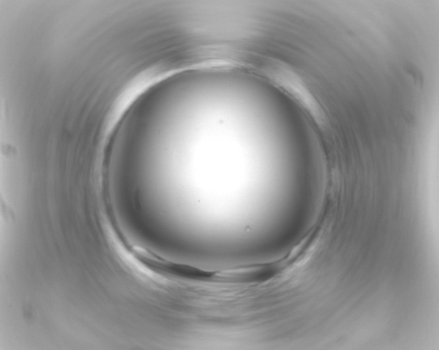X0000090951483200708021327