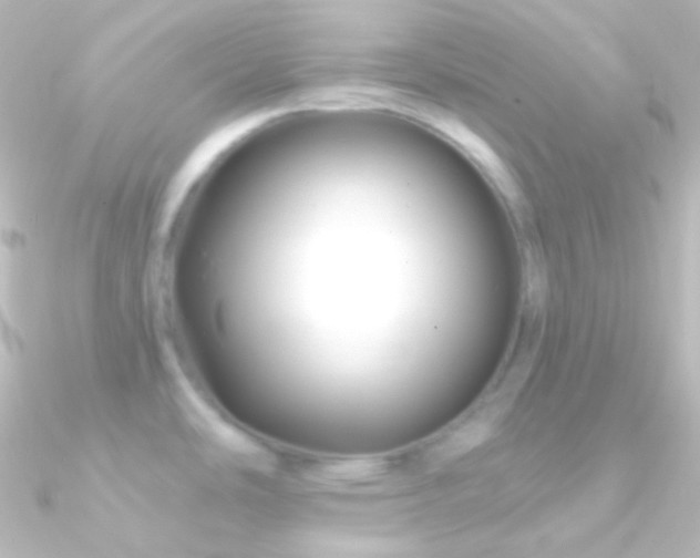 X0000090951486200708021327